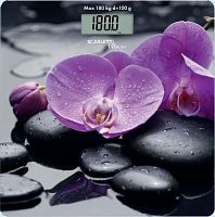 картинка весы напольные scarlett sc-bs33e067 от магазина Tovar-RF.ru