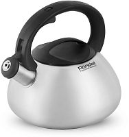 картинка Чайник RONDELL RDS-1607 от магазина Tovar-RF.ru