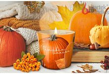 картинка Свеча BARTEK Сезон тыквы (Pumpkin Season) 115гр в стакане от магазина Tovar-RF.ru