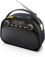 картинка радиоприемник ritmix rpr-040, черный от магазина Tovar-RF.ru