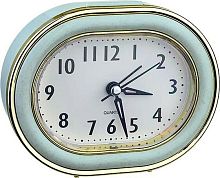 картинка Часы PERFEO (PF_C3159) Quartz "PF-TC-017" зелёные от магазина Tovar-RF.ru