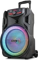 картинка портативная аудиосистема blackton bt pbs2113 черный от магазина Tovar-RF.ru