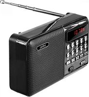 картинка радиоприемник perfeo (pf-a4870) palm черный от магазина Tovar-RF.ru