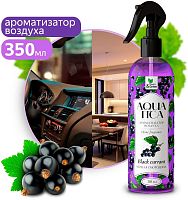 картинка Ароматизатор воздуха CLEAN&GREEN CG8269 Aquatica "Black currant/Черная смородина" (триггер) 350 мл от магазина Tovar-RF.ru
