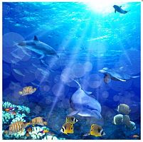 картинка Штора для ванной BRIMIX 02-09 Шторка в ванную комнату фотопечать - МОРСКОЕ ДНО от магазина Tovar-RF.ru