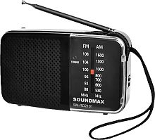 картинка soundmax sm-rd2101 черный от магазина Tovar-RF.ru