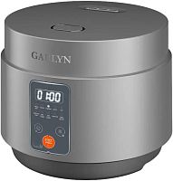 картинка мультиварка garlyn mr-solo 4 pro от магазина Tovar-RF.ru