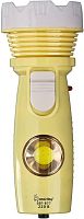картинка фонарь smartbuy (sbf-877) sbf-877 желтыйот магазина Tovar-RF.ru