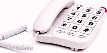 картинка вектор 545/08 ivory белый от магазина Tovar-RF.ru