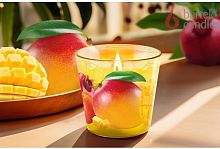 картинка Свеча BARTEK Манго и фрукты (Mango & Fruits) 115гр в стакане от магазина Tovar-RF.ru