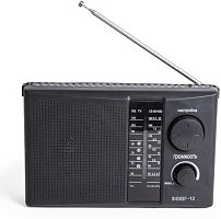 картинка радиоприемник эфир 12 fm 64-108мгц, бат. 2*r20, 220v от магазина Tovar-RF.ru
