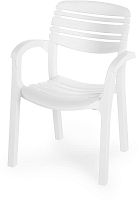 картинка Мебель из пластика АЛЬТЕРНАТИВА М8906 Атлант кресло (белый) от магазина Tovar-RF.ru