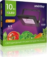 картинка Прожектор для растений SMARTBUY (SBL-FLFITO-30-65K) фитопрожектор от магазина Tovar-RF.ru
