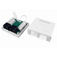 картинка hyperline sb1-2-8p8c-c6-wh розетка компьютерная rj-45(8p8c), категория 6, двойная, внешняя, dual idc от магазина Tovar-RF.ru