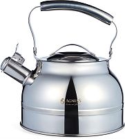 картинка Чайник AGNESS 914-302 2,7л индукция от магазина Tovar-RF.ru
